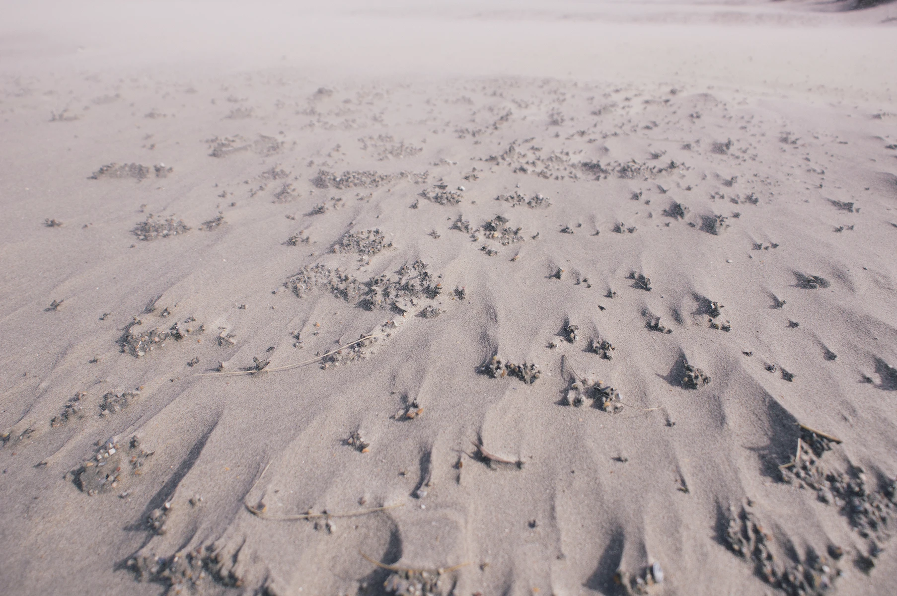 Photo of sand on the beach that has been shaped in a cool way by the wind.